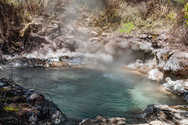 在Orakei Korako地热公园和洞穴的冷饮喷泉，隐藏山谷，新西兰陶波